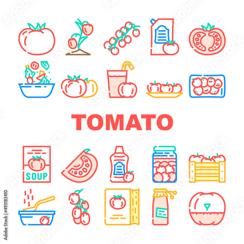 Tomato Natural Bio Ingredient Icons Set Vector. Tomato Vitamin Vegetable For Prepare Salad And Fresh Juice  Receipt Book For Cooking Delicious Dish And Drink  Sauce And Soup Color Illustrations