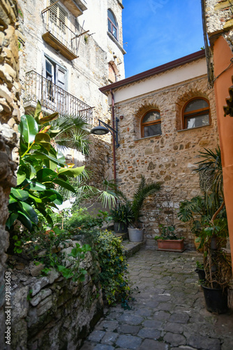 A narrow street among the old stone houses of Castellabate  town in Salerno province  Italy.  