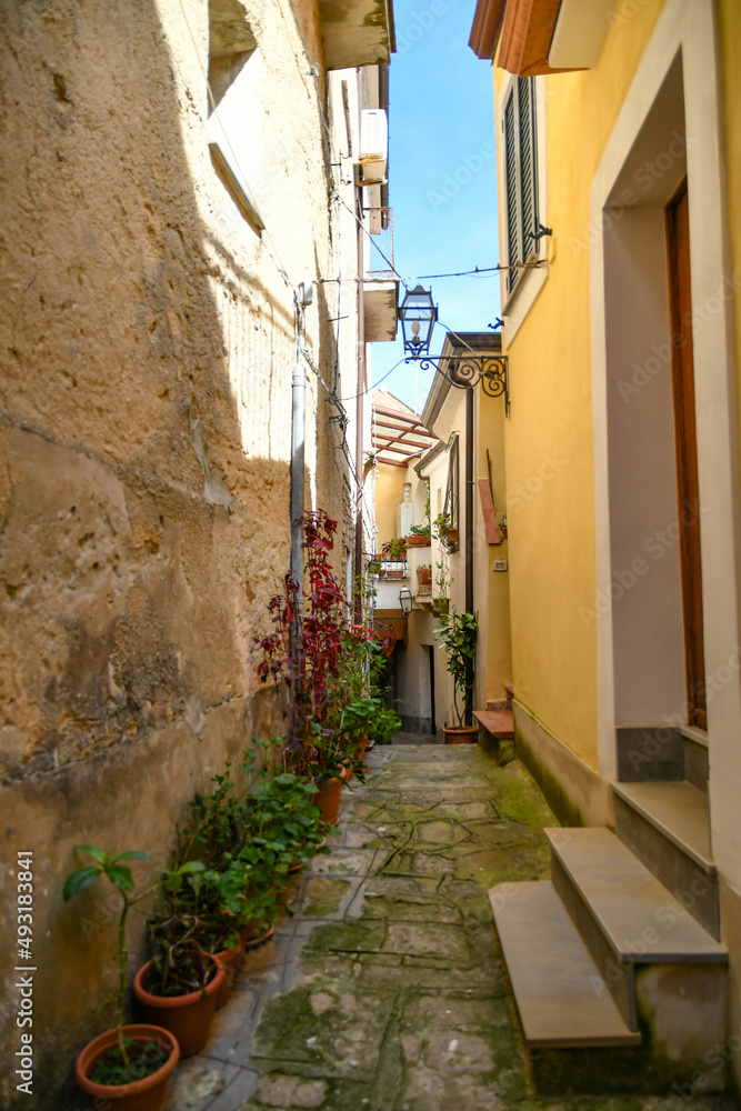 A narrow street among the old stone houses of Castellabate, town in Salerno province, Italy.	