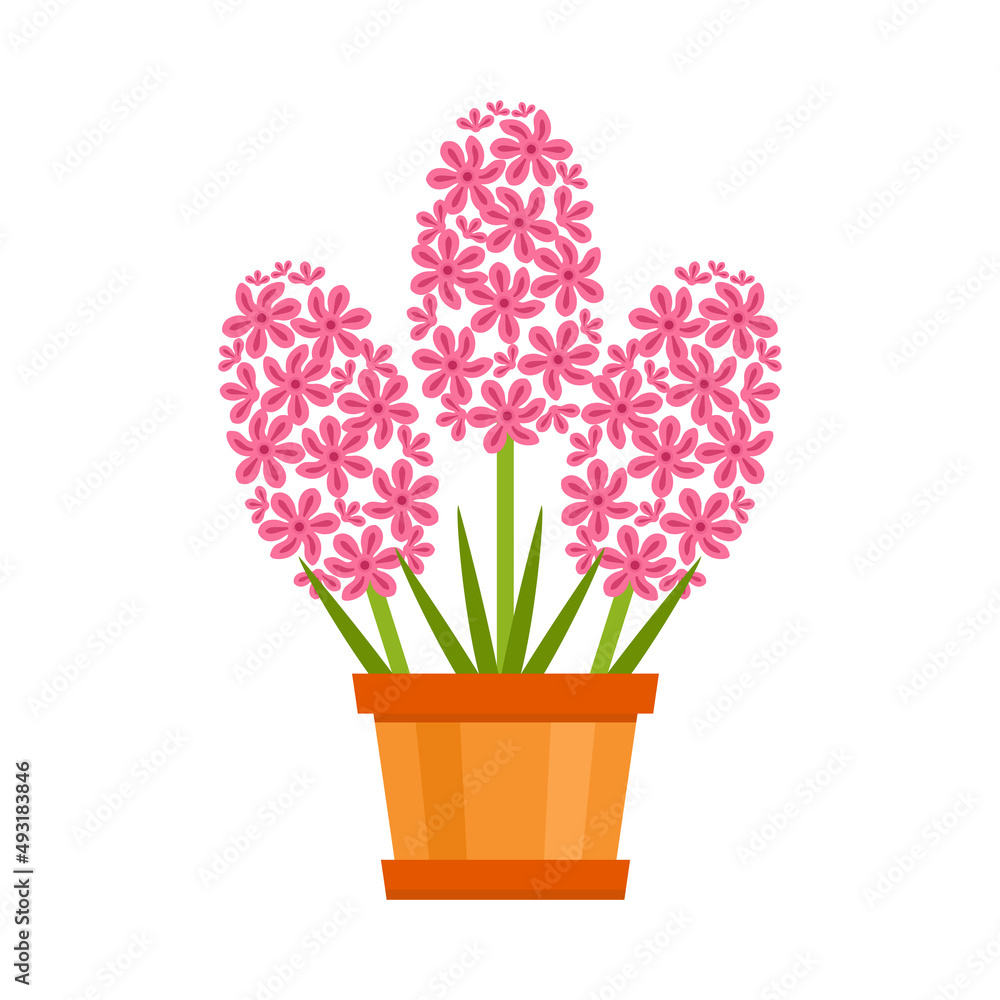 Pink hyacinth in a pot isolated. Simple flat icon of spring flower. Vector illustration.