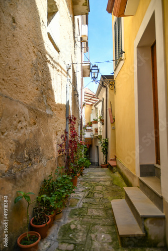 A narrow street among the old stone houses of Castellabate  town in Salerno province  Italy. 