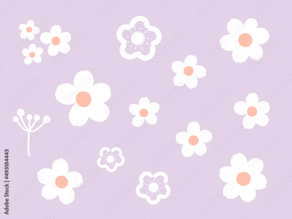 Daisy flower on purple background vector.
