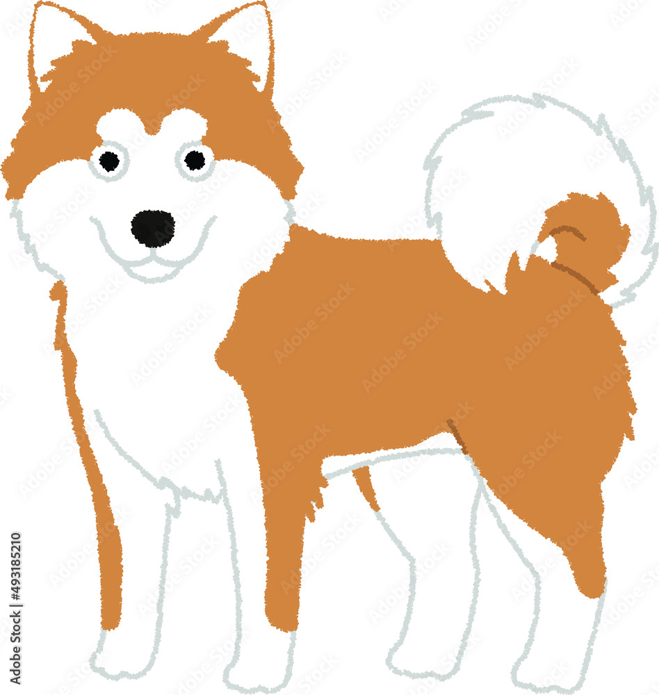 秋田犬のイラスト Stock Vector Adobe Stock 秋田犬のイラスト Stock Vector Adobe Stock