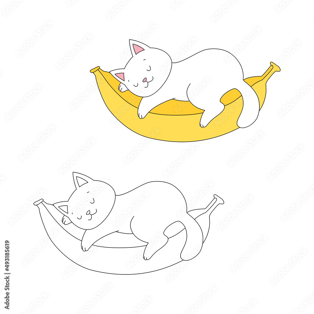 Coloring page with cute cat and fruit. Illustration of a kitten sleeping on a banana. Vector 10 ...