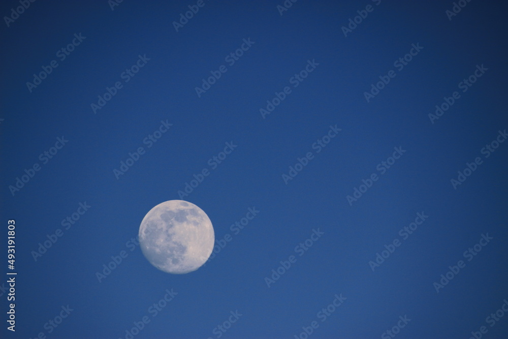 moon moon
