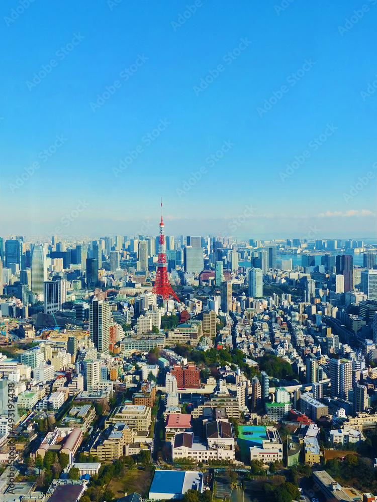 A panoramic view of Tokyo city from a high point
