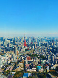 A panoramic view of Tokyo city from a high point