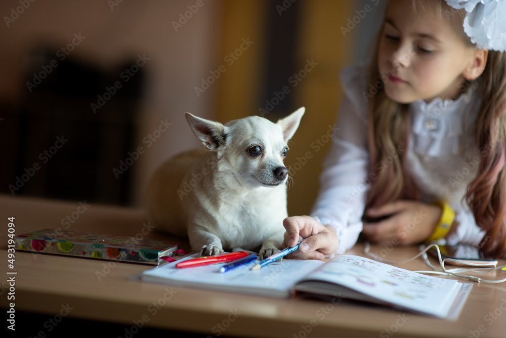 Schoolgirl and dog learning at home