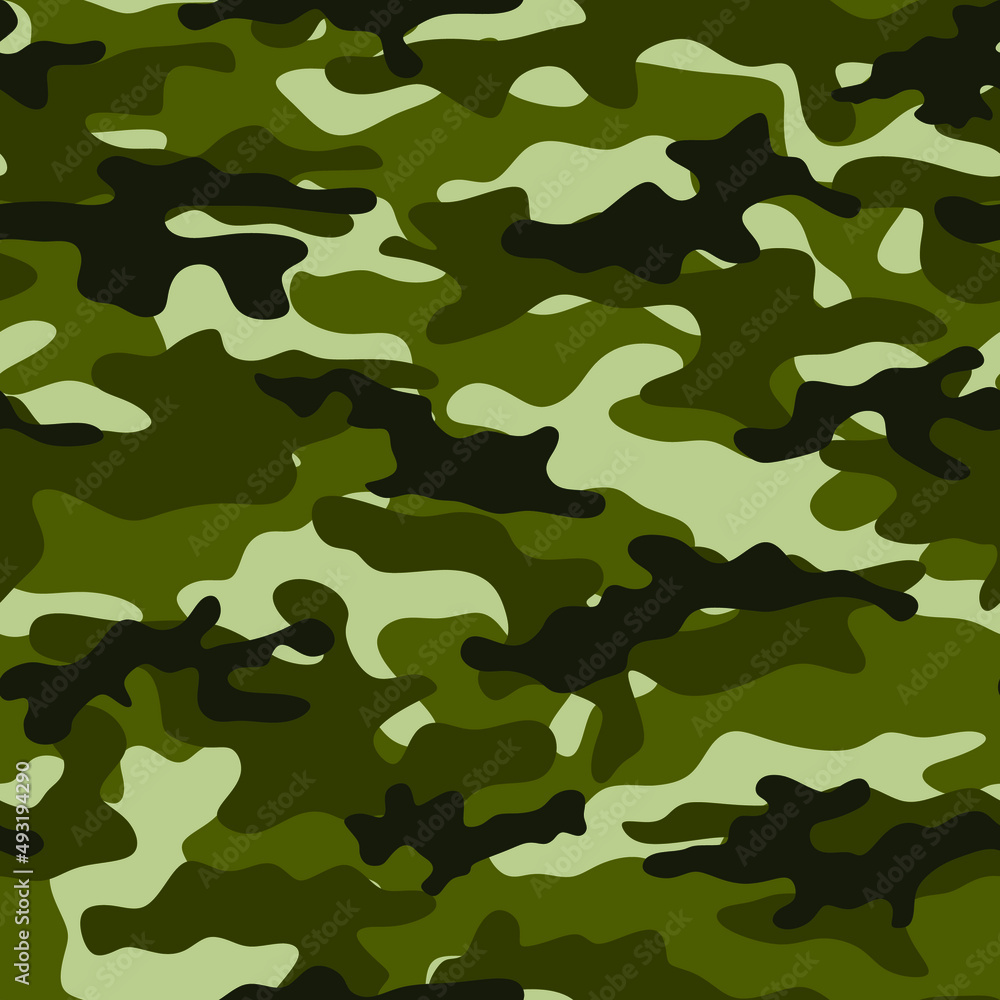 Camouflage. Vector graphics. Pattern for clothes. Camouflage. Vector graphics. Pattern for clothes.