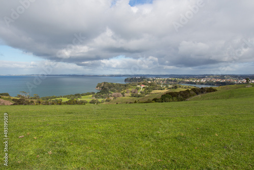 Picturesque landscape with green grass hills and blue sea on background, Shakespear Regional Park, New Zealand.