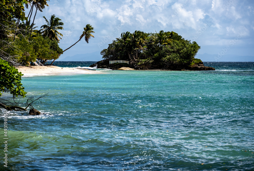 Obraz premium tropical landscape with sandy beach boat and palm trees in Dominican Republic 
