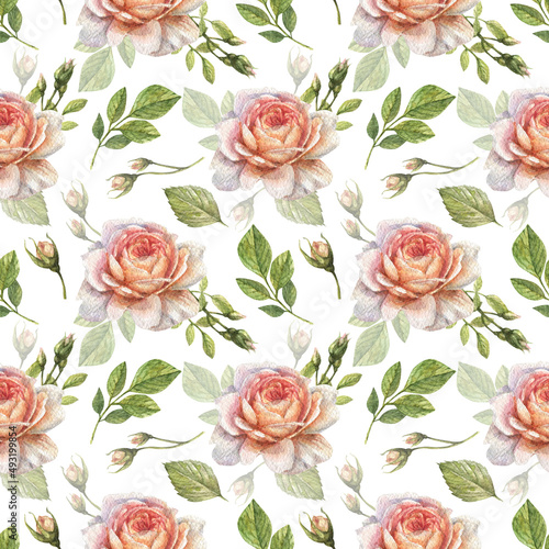 Watercolor seamless pattern with illustration of rose flowers, buds, stems and leaves