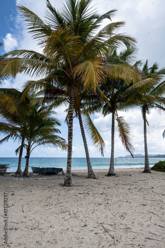 tropical landscape with sandy beach boat and palm trees in Dominican Republic  © константин константи