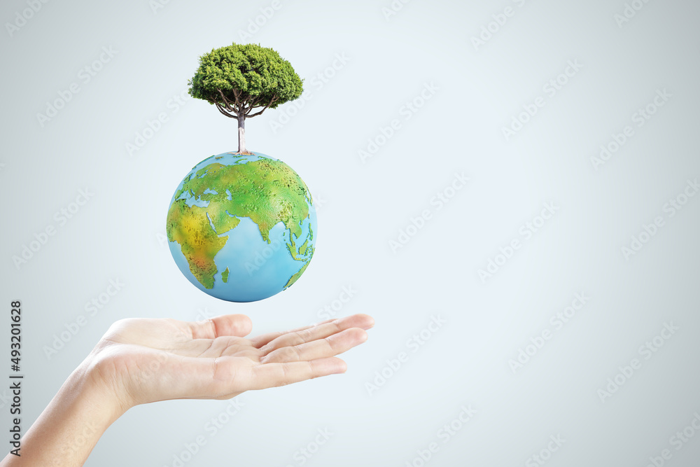 Close up of female hand holding abstract globe with tree on light background with mock up place. World, earth, ecology and planet concept. Close up of female hand holding abstract globe with tree on light background with mock up place. World, earth, ecology and planet concept.