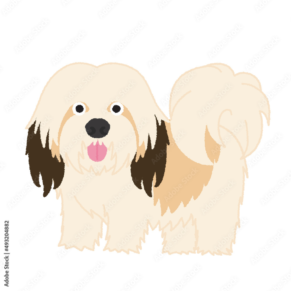 ハバニーズの犬イラスト ハバニーズの犬イラスト