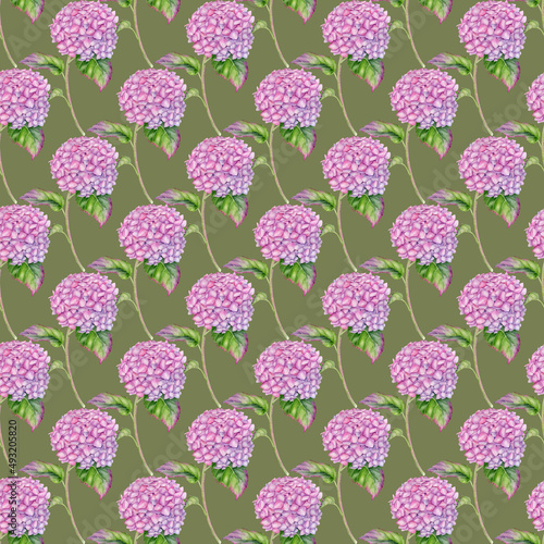 Watercolor Hydrangea seamless pattern. Hand drawn pink Hortensia flower ornament with leaves and stems on green background. Flowering plant repeated design for wallpaper, package, fabrics, fashion