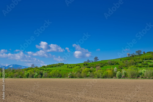 Panorama of beautiful countryside  peaceful landscape  green hills in spring time. Wonderful springtime landscape with mountains in background