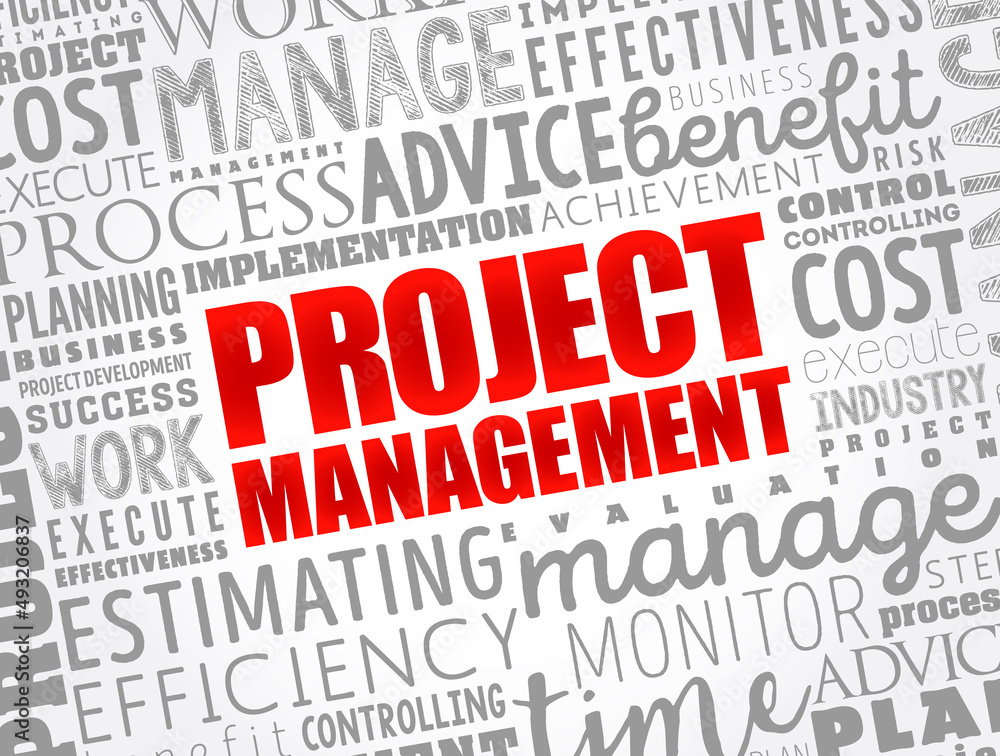 Project Management word cloud collage, business concept background Project Management word cloud collage, business concept background