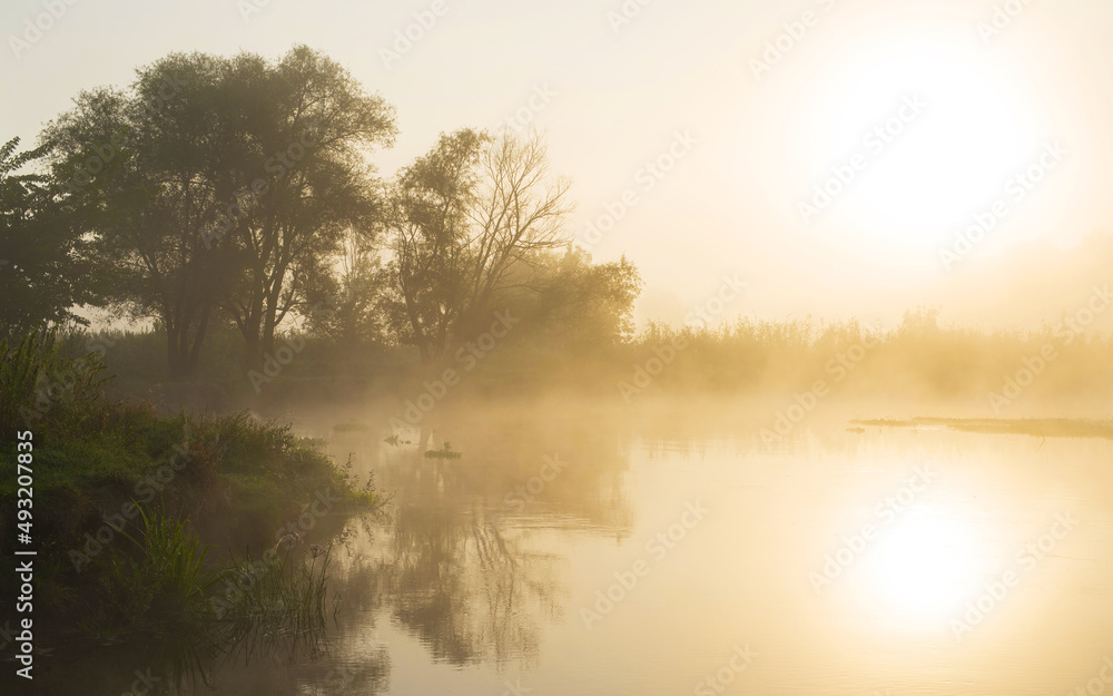 Sunrise over the river. Early foggy morning. Reflection of the sun in the water. Tree by the river.