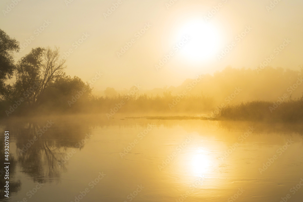 Sunrise over the river. Early foggy morning. Reflection of the sun in the water. Tree by the river.