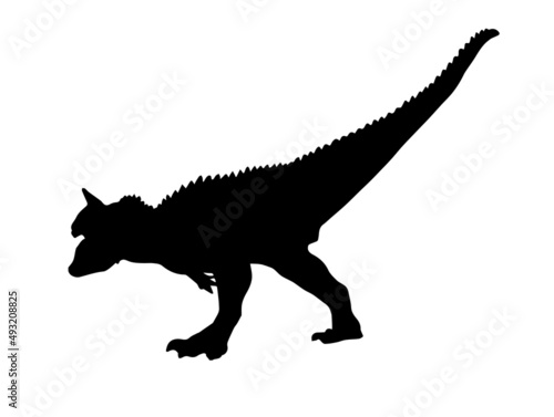 Carnotaurus     dinosaur on isolated background .