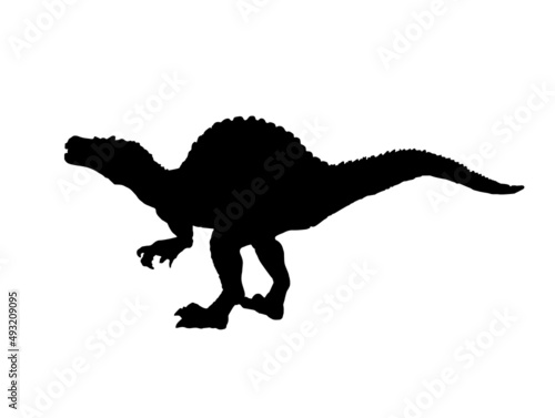 Spinosaurus   dinosaur on isolated background .