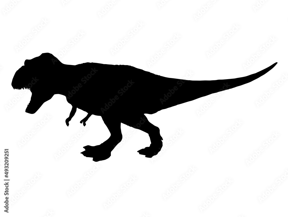 Tyrannosaurus T-rex     , dinosaur on isolated background .