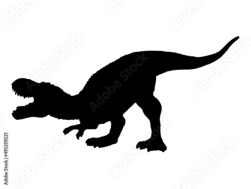 Tyrannosaurus T-rex       dinosaur on isolated background .