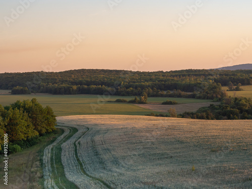 Landscape of a beautiful field at sunset, trees nearby.