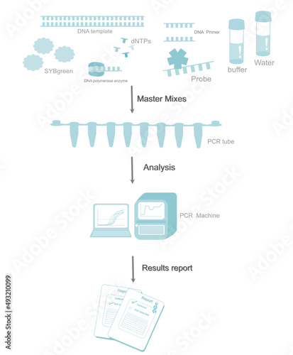 The important component and steps of polymerase chain reaction (PCR): real-time PCR,quantitative PCR for DNA detection in molecular research or diagnosis lab.