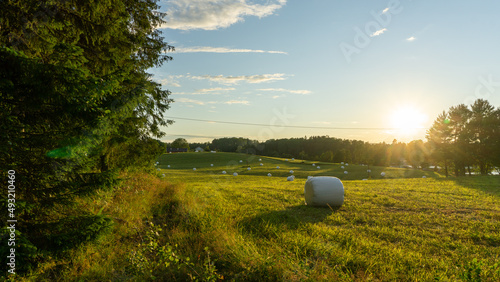 Cuadro en lienzo Sunset over the crop field. Norwegian Landscape.