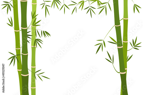 Bamboo stalk with green foliage on a white background. flat design vector illustration on white background.