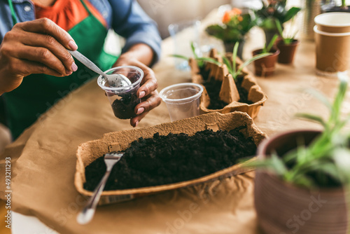 Woman transplanting flowers at home.