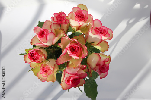 front top photo of a bouquet of pink roses on a white background  studio shoot
