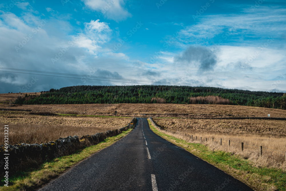 Symmetrical Road in Scotland