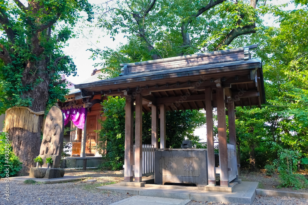 Naklejka premium 東京都新宿区 筑土八幡神社 手水舎