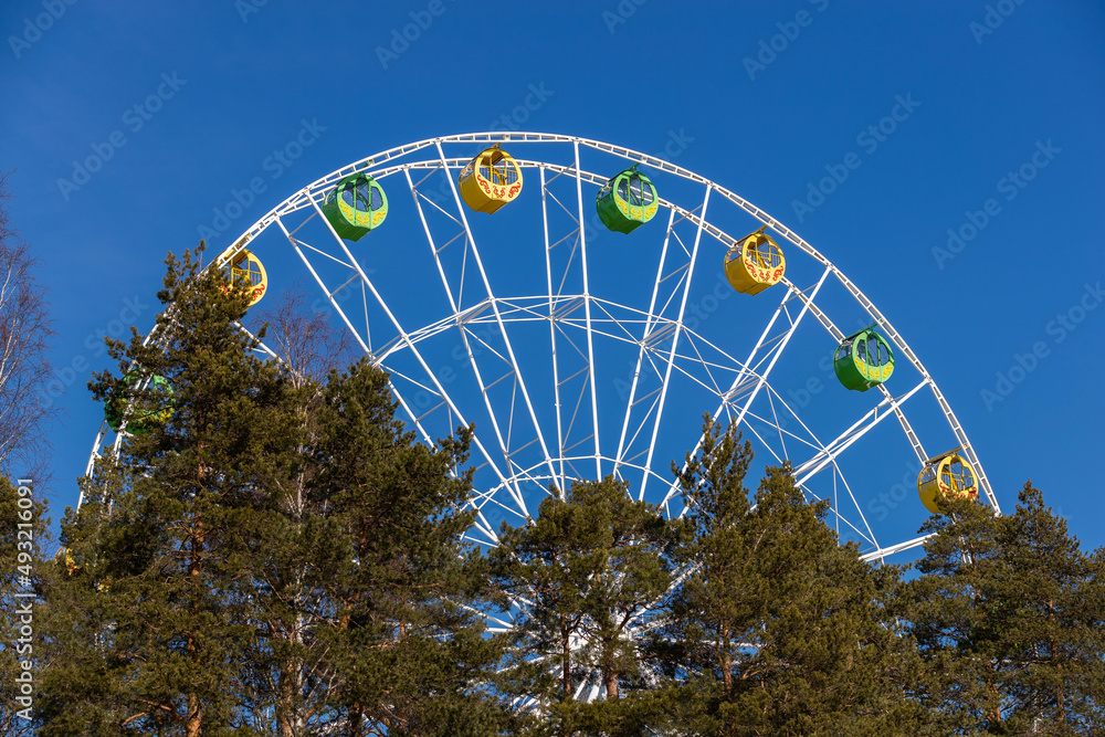 Fototapeta premium Ferris wheel above the trees