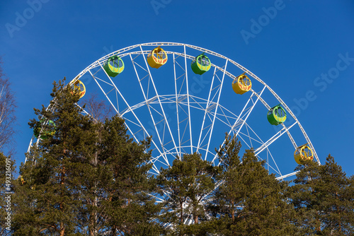 Ferris wheel above the trees