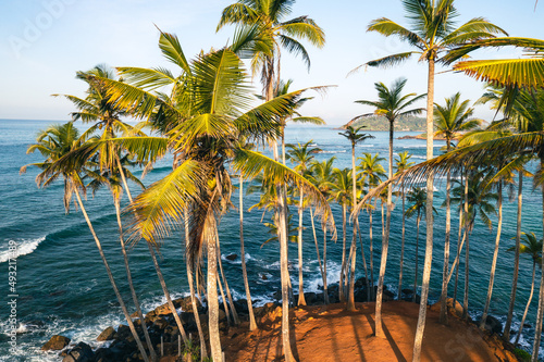Coconut tree hill in Mirissa Beach. Sri Lanka. © Curioso.Photography