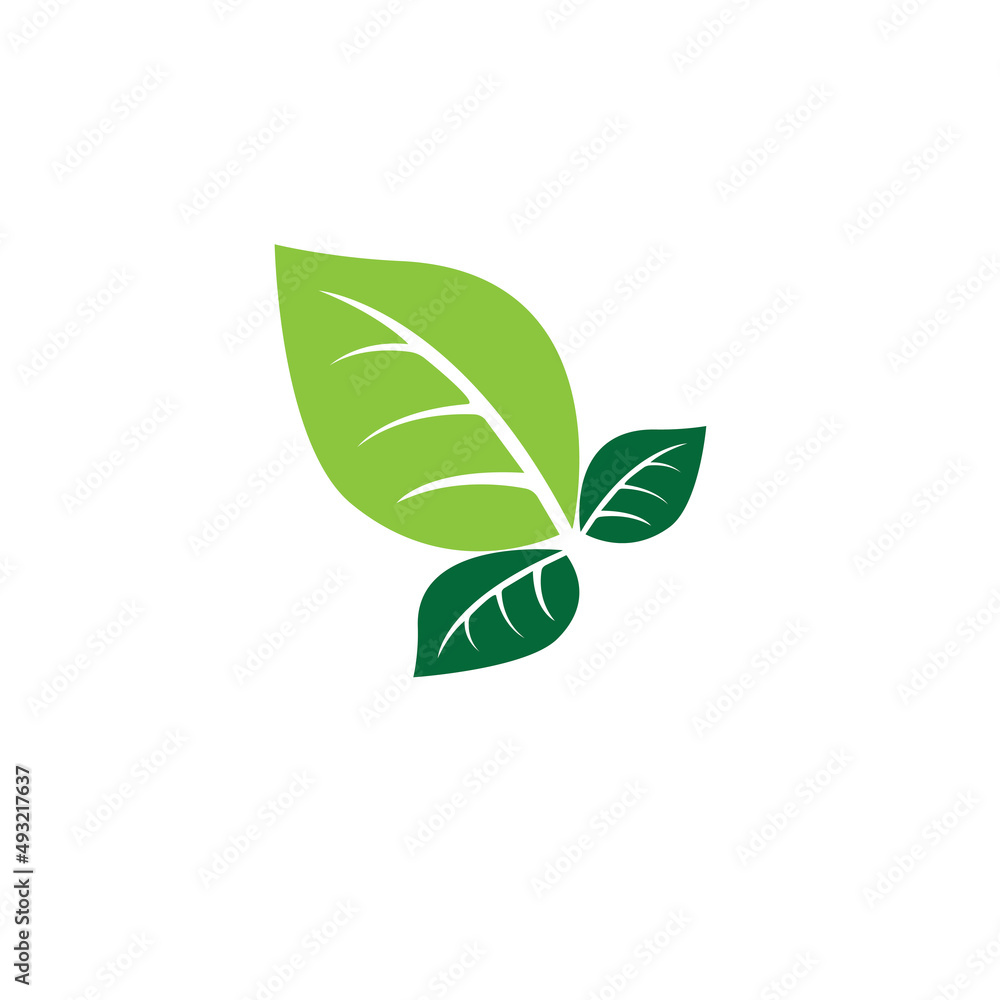 Logos of green Tree leaf ecology Logos of green Tree leaf ecology