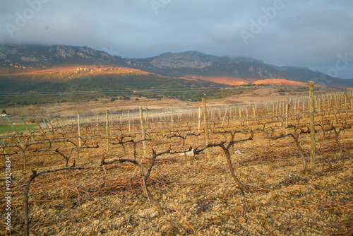 Bodega Landaluce en laRioja alavesa, Camino de La Hoya, Laguardia, Álava, País Vasco, España. photo