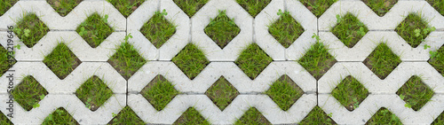 Grass pavers texture background banner panorama, top view