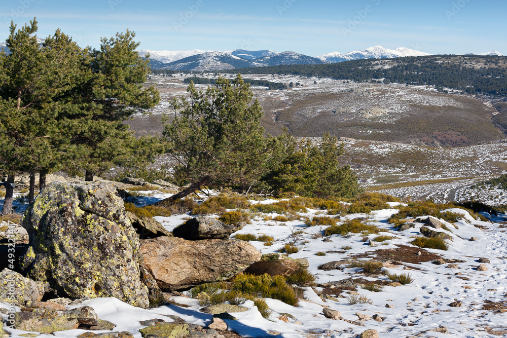 Nieve en la Sierra de Malagón. Segovia. España. Nieve en la Sierra de Malagón. Segovia. España.