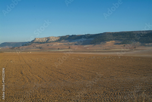 Paisaje agrícola de Peñafiel, Valladolid, Castilla y León