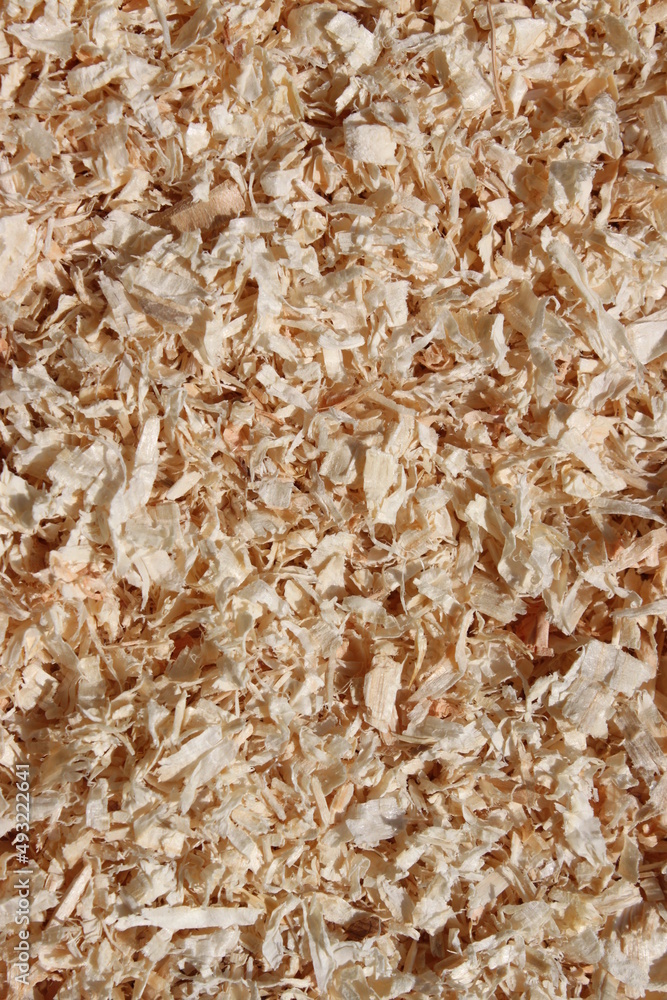 light brown sawdust as bedding light brown sawdust as bedding