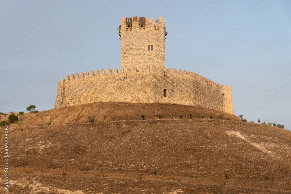 Tiedra medieval castle in the route of the castles in a sunny day, Castilla y León, Spain