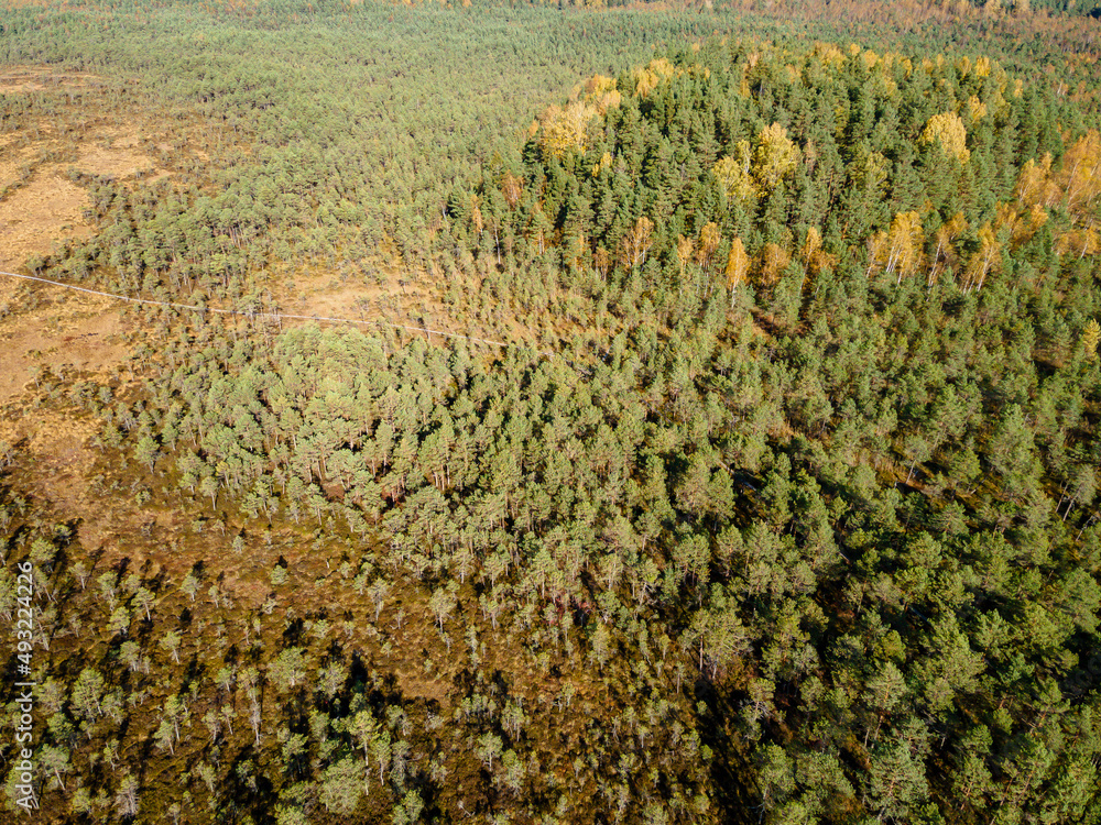 Swamp, bog and lakes in Estonian nature reserve Kakerdaja. Drone aerial view