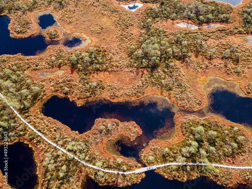 Wooden hiking trails in swamps or bog in Estonian nature reserve Kakerdaja. Drone aerial view photo