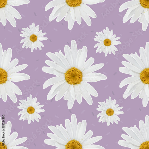 Daisy seamless pattern on purple background. Stylish template for fashion prints. Vector design.