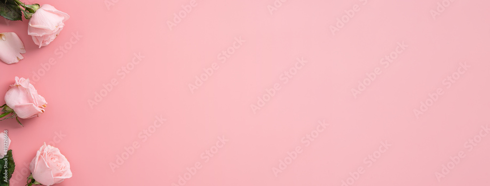 Mother's Day design concept background with pink rose flower on pink background.